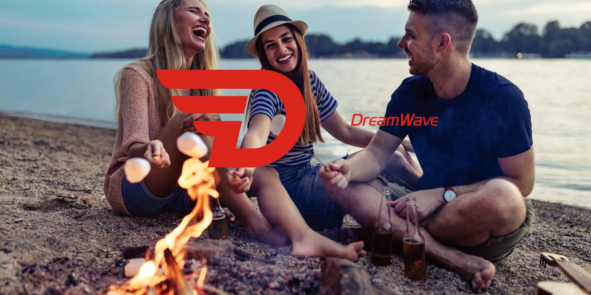 帝瓦雷音响品牌设计案例